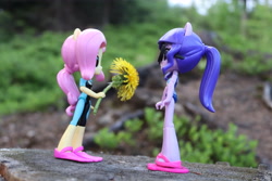 Size: 6000x4000 | Tagged: safe, artist:artofmagicpoland, imported from derpibooru, fluttershy, sci-twi, twilight sparkle, equestria girls, equestria girls series, clothes, dandelion, doll, equestria girls minis, female, flippers, flippers (gear), flower, holding, lesbian, sandals, scitwishy, shipping, swimsuit, toy, twishy