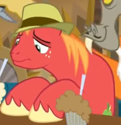 Size: 566x584 | Tagged: safe, imported from derpibooru, screencap, big macintosh, discord, earth pony, pony, the break up breakdown, cropped, hat, male, milkshake, missing accessory, peter new, sad, solo focus, stallion, trilby, voice actor joke