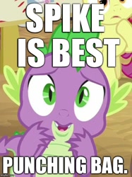 Size: 511x684 | Tagged: safe, editor:useraccount, imported from derpibooru, spike, abuse, funny, go to sleep garble, image macro, meme, op is a duck, op is trying to start shit, punching bag, scared, spikeabuse, spikeposting, truth
