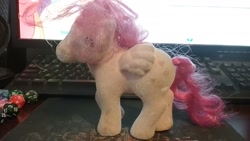 Size: 2048x1152 | Tagged: safe, imported from derpibooru, heart throb, pegasus, pony, 1980's, female, g1, irl, photo, so soft, solo, toy