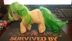 Size: 2048x1152 | Tagged: safe, imported from derpibooru, magic star, earth pony, pony, g1, irl, photo, solo, toy
