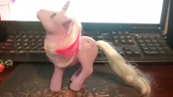 Size: 2048x1152 | Tagged: safe, imported from derpibooru, powder, pony, unicorn, g1, irl, photo, solo, toy