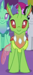 Size: 280x625 | Tagged: safe, imported from derpibooru, screencap, arista, berry punch, berryshine, lucky clover, soupling, changedling, changeling, celestial advice, background changeling, cropped, front view, smiling, solo focus