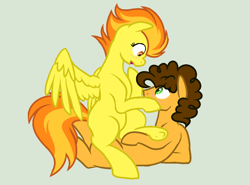 Size: 1204x892 | Tagged: safe, artist:roseloverofpastels, imported from derpibooru, cheese sandwich, spitfire, pony, blushing, cheesefire, crack shipping, female, male, shipping, simple background, spitsandwich, straight