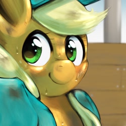 Size: 1536x1536 | Tagged: safe, artist:kurogewapony, imported from derpibooru, applejack, earth pony, pony, female, looking at you, mare, solo