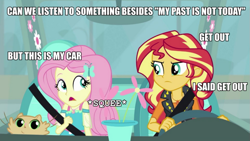 Size: 977x550 | Tagged: safe, edit, edited screencap, imported from derpibooru, screencap, fluttershy, sunset shimmer, cat, driving miss shimmer, equestria girls, equestria girls series, car, driving miss shimmer: fluttershy, female, fluttershy's car, image macro, meme, miss kitty, seatbelt