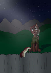 Size: 2480x3507 | Tagged: safe, artist:ethernal dye, imported from derpibooru, oc, oc:cereal, commission, night, stars