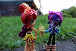 Size: 6000x4000 | Tagged: safe, artist:artofmagicpoland, imported from derpibooru, sunset shimmer, twilight sparkle, alicorn, equestria girls, cider, doll, equestria girls minis, female, irl, looking at each other, mug, offering, photo, tankard, toy, twilight sparkle (alicorn)