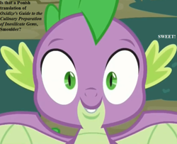 Size: 800x650 | Tagged: safe, edit, edited screencap, imported from derpibooru, screencap, spike, molt down, cropped, implied smolder, misspelling, spread wings, text, winged spike, wings