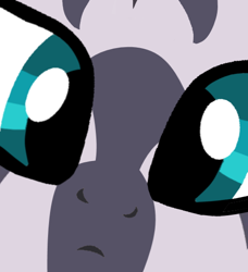 Size: 500x549 | Tagged: safe, artist:grapefruitface1, derpibooru exclusive, edit, imported from derpibooru, part of a set, zecora, pony, zebra, close up series, close-up, confused, cute, extreme close up, extreme close-up, female, looking at you, meme, solo, stare, zecorable