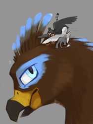 Size: 774x1032 | Tagged: safe, artist:greiser, imported from derpibooru, oc, oc only, oc:der, oc:ruzeth, oc:saewin, griffon, behaving like a bird, birds doing bird things, bust, gray background, griffonized, micro, portrait, preening, question mark, simple background, species swap