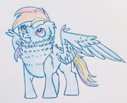 Size: 3024x2470 | Tagged: safe, artist:smirk, imported from derpibooru, rainbow dash, pony, angry, cute, female, fluffy, looking up, ruffled feathers, solo, traditional art