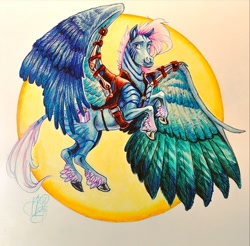 Size: 1280x1259 | Tagged: safe, artist:aerosaur83, imported from derpibooru, oc, oc only, pegasus, pony, zebra, female, mare, solo, traditional art, unshorn fetlocks, zebra oc