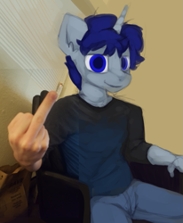 Size: 1225x1489 | Tagged: safe, artist:marsminer, imported from derpibooru, oc, oc only, oc:sleepy head, anthro, unicorn, irl, male, middle finger, photo, solo, vulgar