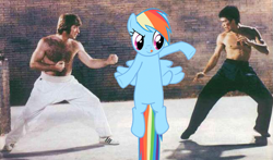 Size: 649x381 | Tagged: safe, imported from derpibooru, rainbow dash, bruce lee, chuck norris, ponies in movies, the way of the dragon