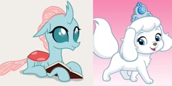 Size: 1350x673 | Tagged: safe, imported from derpibooru, ocellus, changedling, changeling, dog, book, palace pets, pumpkin (palace pets)