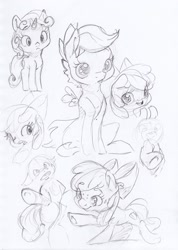 Size: 1633x2296 | Tagged: safe, artist:dilarus, deleted from derpibooru, imported from derpibooru, apple bloom, scootaloo, sweetie belle, earth pony, pegasus, pony, unicorn, cute, cutie mark crusaders, female, filly, pencil drawing, simple background, sketch, traditional art, trio, white background