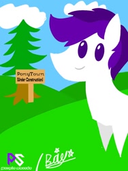 Size: 768x1024 | Tagged: safe, artist:purplesounds, imported from derpibooru, oc, oc only, pony, pointy ponies, solo