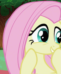 Size: 441x541 | Tagged: safe, imported from derpibooru, screencap, fluttershy, pegasus, pony, lesson zero, season 2, boop, cropped, cute, female, giggling, mare, self-boop, solo