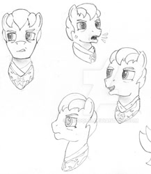 Size: 674x776 | Tagged: safe, artist:drcool13, imported from derpibooru, oc, oc only, pony, bust, cropped, facial expressions, front view, male, monochrome, practice drawing, serious, serious face, side view, solo, stallion, traditional art, vein bulge, watermark