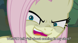 Size: 1823x1024 | Tagged: safe, edit, edited screencap, imported from derpibooru, screencap, mean fluttershy, pegasus, pony, .mov, shed.mov, the mean 6, caption, clone, female, fluttershed, image macro, mare, meme, solo, y'all