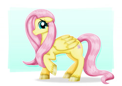 Size: 1600x1131 | Tagged: safe, artist:jotakaanimation, imported from derpibooru, fluttershy, pegasus, pony, female, mare, simple background, solo