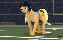 Size: 2670x1728 | Tagged: safe, artist:mighty-muffins, imported from derpibooru, applejack, earth pony, pony, american football, clothes, colt, cutie mark, derail in the comments, female, field goal, football field, football helmet, football stadium, helmet, male, nfl, shirt, sign, signature, solo, sports, tape, uniform