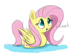 Size: 2007x1506 | Tagged: safe, artist:taurson, imported from derpibooru, fluttershy, bird, duck pony, hybrid, pegasus, pony, behaving like a duck, birb, bonus ducks, cute, female, flutterduck, mare, pegaduck, pony hybrid, quack, shyabetes, solo