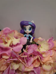 Size: 3456x4608 | Tagged: safe, imported from derpibooru, rarity, equestria girls, airport, doll, equestria girls minis, eqventures of the minis, female, flower, irl, photo, singapore, toy