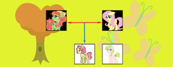 Size: 1427x557 | Tagged: safe, artist:alphamonouryuuken, artist:kianamai, imported from derpibooru, fluttershy, tree hugger, oc, oc:anthea, oc:flower crown, kilalaverse, kilalaverse ii, cutie mark, family tree, magical lesbian spawn, next generation, offspring, parent:fluttershy, parent:tree hugger, parents:flutterhugger, story included