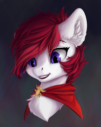 Size: 1686x2122 | Tagged: safe, artist:rokufuro, imported from derpibooru, oc, oc only, pony, bust, cape, chest fluff, clothes, portrait, smiling, solo, ych result