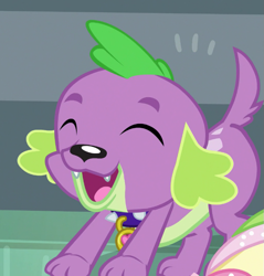 Size: 685x718 | Tagged: safe, imported from derpibooru, screencap, spike, spike the regular dog, dog, dance magic, equestria girls, spoiler:eqg specials, cropped, eyes closed, male, paws, puppy, smiling