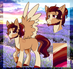 Size: 1633x1547 | Tagged: safe, artist:cloud-fly, imported from derpibooru, oc, oc only, oc:max, pegasus, pony, male, reference sheet, solo, stallion