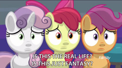 Size: 2880x1610 | Tagged: safe, edit, edited screencap, imported from derpibooru, screencap, apple bloom, scootaloo, sweetie belle, earth pony, pegasus, pony, unicorn, marks for effort, bohemian rhapsody, cutie mark crusaders, female, filly, meme, queen (band), song in the comments, song reference