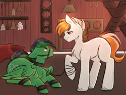 Size: 4000x3000 | Tagged: safe, artist:pesty_skillengton, imported from derpibooru, oc, pegasus, pony, bdsm, bridle, collar, cuffs, leash, submissive, tack