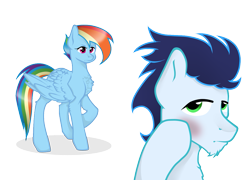 Size: 1309x943 | Tagged: safe, artist:mikoneerd, imported from derpibooru, rainbow dash, soarin', pony, blushing, female, male, shipping, simple background, soarindash, straight, transparent background