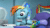 Size: 1920x1080 | Tagged: safe, imported from derpibooru, rainbow dash, twilight sparkle, alicorn, 3d, :3, animated, blinking, book, cookie, crazy face, cute, faic, feeding, female, food, frightened, hiding, lying down, magic, messy mane, no sound, reading, sfm pony, sound at source, source filmmaker, startled, surprised, twilight sparkle (alicorn), wat, webm