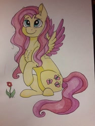 Size: 774x1032 | Tagged: safe, artist:clarissa0210, imported from derpibooru, fluttershy, pony, female, solo, traditional art