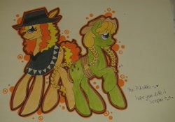 Size: 1726x1209 | Tagged: safe, artist:moonyette, imported from derpibooru, oc, oc only, oc:seed seeker (syd), oc:sunset sky, earth pony, pegasus, pony, clothes, cowboy hat, duo, female, freckles, hat, lasso, mare, offspring, parent:applejack, parent:caramel, parent:cheese sandwich, parent:pinkie pie, parents:carajack, parents:cheesedash, poncho, rope, stetson, traditional art