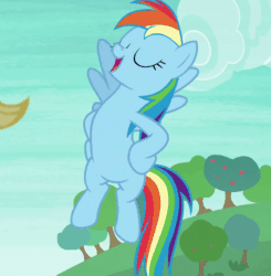 Size: 800x817 | Tagged: safe, imported from derpibooru, screencap, rainbow dash, pony, non-compete clause, animated, cropped, cute, dashabetes, female, hooves on hips, loop, rainboast dash, solo