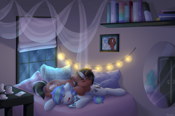 Size: 3000x2000 | Tagged: safe, artist:spirit-dude, imported from derpibooru, oc, oc only, oc:phantom, oc:storm feather, pegasus, pony, unicorn, bed, book, bookshelf, candle, clothes, cute, duo, duo male, gay, lying down, lying on bed, male, mirror, moonlight, night, on bed, scarf, sleeping, stallion, window