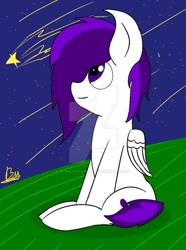 Size: 600x807 | Tagged: safe, artist:purplesounds, imported from derpibooru, oc, pegasus, pony, pony town, beautiful, happy birthday mlp:fim, mlp fim's seventh anniversary, ponytail, stars, tail