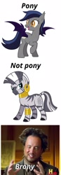 Size: 750x2160 | Tagged: safe, imported from derpibooru, zecora, oc, oc:echo, bat pony, human, pony, zebra, ancient aliens, giorgio a. tsoukalos, image macro, irl, irl human, meme, photo, racism