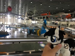 Size: 4032x3024 | Tagged: safe, artist:schwarz, imported from derpibooru, oc, oc:schwarz, hand, irl, photo, plane, plushie, taiwan