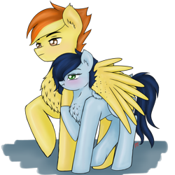 Size: 2830x2830 | Tagged: safe, artist:vinviasshine, imported from derpibooru, soarin', spitfire, pegasus, pony, chest fluff, ear fluff, female, firestorm, glide, glidestorm, hug, male, rule 63, shipping, simple background, soarinfire, straight, transparent background, trotting, winghug