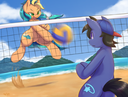 Size: 1050x800 | Tagged: safe, artist:tikrs007, imported from derpibooru, oc, oc only, oc:break spin, oc:playa "spikeball" azul, earth pony, pony, beach, bipedal, cloud, commission, female, male, mare, ocean, sky, sports, stallion, this will end in pain, volleyball, volleyball net, worried
