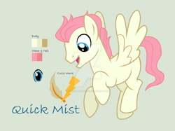 Size: 1024x767 | Tagged: safe, artist:aurora-light-x, imported from derpibooru, oc, oc only, oc:quick mist, pegasus, pony, male, offspring, parent:bulk biceps, parent:fluttershy, parents:flutterbulk, reference sheet, simple background, solo, stallion, watermark