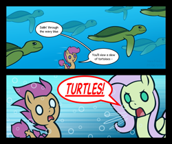 Size: 1069x896 | Tagged: safe, artist:haretrinity, imported from derpibooru, fluttershy, scootaloo, pegasus, pony, seapony (g4), turtle, surf and/or turf, animal, sea turtle, seaponified, seapony scootaloo, species swap, underwater