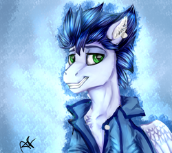 Size: 1024x908 | Tagged: safe, artist:greenleafy1, imported from derpibooru, soarin', pony, bust, clothes, jacket, male, solo