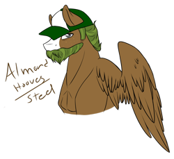 Size: 1024x940 | Tagged: safe, artist:kimyowolf, imported from derpibooru, oc, oc only, oc:almond hooves, pegasus, pony, bust, cap, hat, male, portrait, simple background, solo, stallion, transparent background